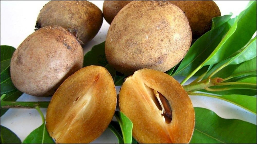 Sapodila is very sweet, sometimes can be used in smoothies called “sapoche”